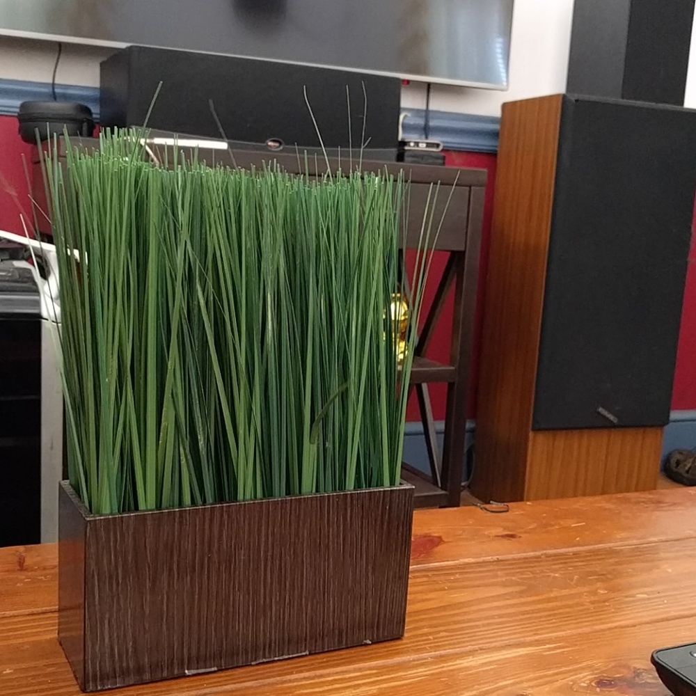 Meet your Posher, Heidi